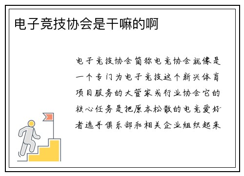 电子竞技协会是干嘛的啊